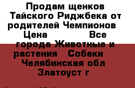 Продам щенков Тайского Риджбека от родителей Чемпионов › Цена ­ 30 000 - Все города Животные и растения » Собаки   . Челябинская обл.,Златоуст г.